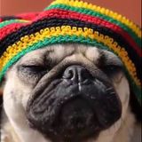 Roots Reggae Party - Dj Nico Cieza