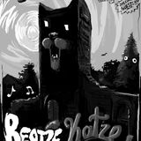 spielerei mit der BEatse Katze