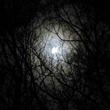 Eerie Eeriness Vol.1
