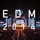 Best of 2014 EDM Mix