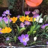 SPRING HIT MIX 2015
