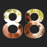 Dirty Disco Radio 88, Mixed & Hosted By Kono Vidovic
