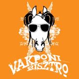 Future Flow live mix @ Vakpóni (2011.12.30.)