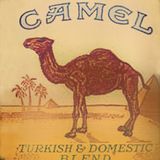 Camels