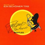 Schiller - Ein Schöner Tag (roberto valentiano bootleg)