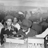 Selector Ginger - Roots & Culture Mix