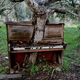 THEY DON'T WANT MUSIC
