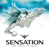 Sébastien Léger - Live @ Ocean Of White Sensation (Las Vegas) 2013.10.05.