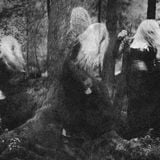 THE CORRUPTED NOCTURNS