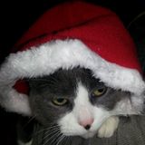 It's Beginning to Sound A Lot Like Glitchmas - Holiday Mini-mix