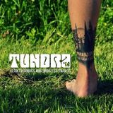DJ K - Tundra Festival Promo Mix 2014