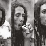 Mike Smoov Presents Bob Marley 101
