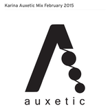 Karina Auxetic Detroit Mix February 2015