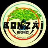 HARDTRANCE PLASTIC ENEMY BONZAY