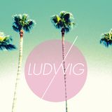 Ludwig Set #2