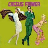 Cactus Flower
