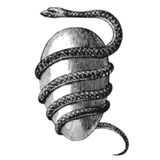 Snakes #24 - 30/03/12 - on RadioBasePopolare