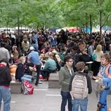 occupy wall street