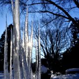 Sunday Morning Music vol. 5 - Chasing Ice