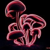 zEta Magica (The oTher Side mix)