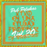 Pub Pelukas vol.20 - Nubdub