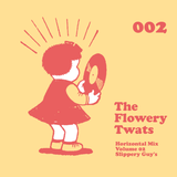 Horizontal Mix Vol 2 - Slippery Guy's