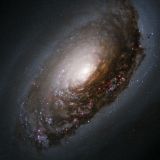 JaZzf(x) deep space radio exploration #7