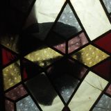 El Ultimo Cascabel