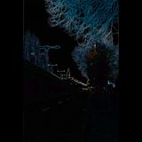 Larry Frenoga - Nightwalk