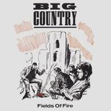 1983: Mix Of Fire by Inflatable Voodoo Dolls