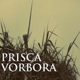 Türp - Prisca Vorbora