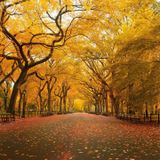 mixing fall