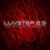Dirty South Joe & Flufftronix - Luvstep 2.5 (Mad Decent Block Party 2011 - Director's Cut)
