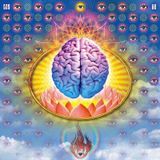 Lysergic Acid Diethylamide