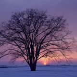 Winter Deep Dive