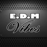 Radio Podcast EDM Vibes 24.01.2014