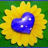 AMOR DO BRAZIL