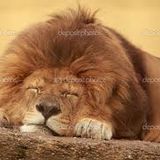 DJ T-Rod - THE SLEEPING LION