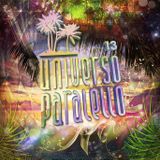 DJ Bayawaka @ Universo Paralello 2016 (opening the main stage 2/1/16)