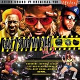 CAN´T STOP MY FYAH Vol 2 (The Mixtape 2014) - ORIGINAL T SB & ACIDOSOUND