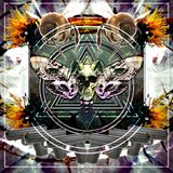 ± Nightmares & 808s - CXB7 RADIO #184 ±