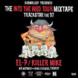 The Into the Wild Tour Mixtape