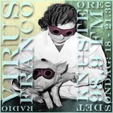 4/8-2013 - VIRUS RADIO