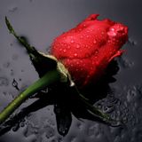 Xtra Romantico Mix (Dj Luis)