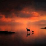 CHILL DNB BY DARKRY