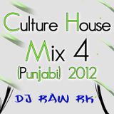 DJ RAW RK_Culture House Mix 4 (Punjabi) 2012