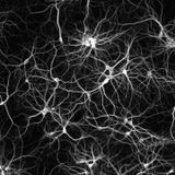 Neurofunky