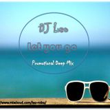 DJ Leo-Let you go(Promotional Deep Mix)