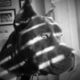 Space Noir Two (The Big Sleep)
