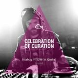 Celebration of Curation 2013 #Bristol: TS2W